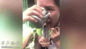 舔下面的在线观看,揭秘都市情感纠葛 第2张 舔下面的在线观看,揭秘都市情感纠葛 第2张